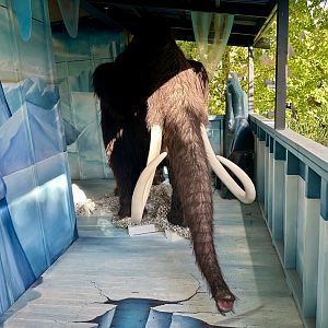 Mythic Creatures Hall - Wooly Mammoth Exhibit