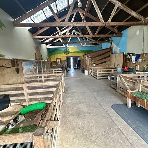 Barnyard (Interior)