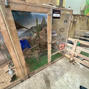 Barnyard -  Domestic Rat Exhibit