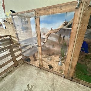 Barnyard - Domestic Chicken Nursery