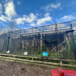 Emperor Tamarin Exhibit