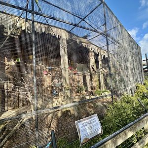 Emperor Tamarin Exhibit