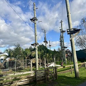 High Ropes Course