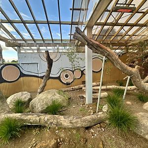 Lace Monitor Exhibit