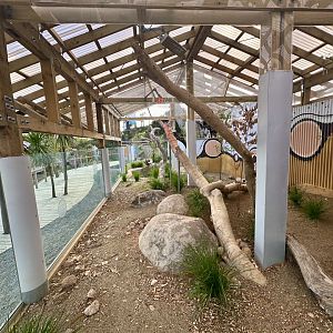 Lace Monitor Exhibit