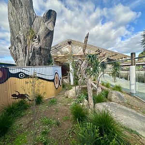 Lace Monitor Exhibit