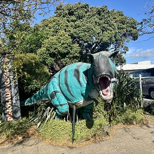 Dinosaur Model - Entrance