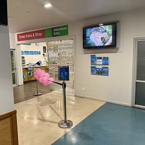 Butterfly Creek - Entrance Foyer