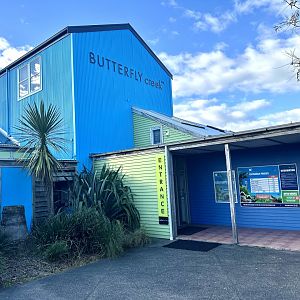 Butterfly Creek - Entrance