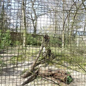 Serval enclosure