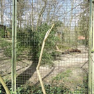 Serval enclosure