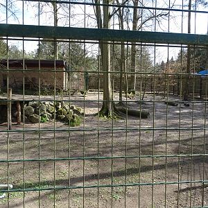 Cheetah enclosure