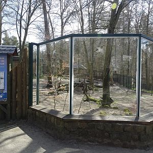 Cheetah enclosure