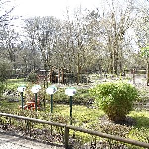 African domestics enclosure