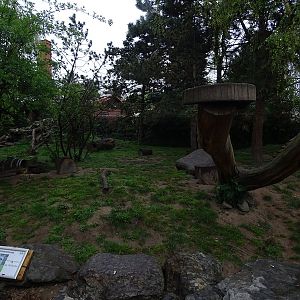 Raccoon / striped skunk enclosure