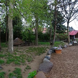 Raccoon / striped skunk enclosure