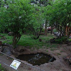 Raccoon / striped skunk enclosure