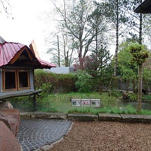 Snapping turtle enclosure and raccoon indoor enclosure