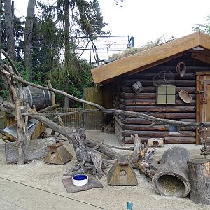 Possum / spotted skunk / tree porcupine enclosure