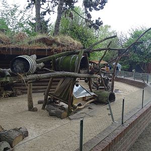Possum / spotted skunk / tree porcupine enclosure