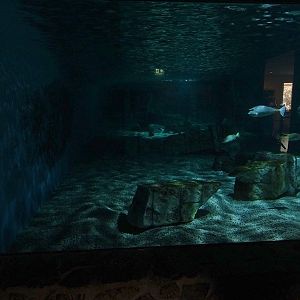 Meeresaquarium Zella-Mehlis: Sunken temple tank
