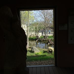 Otter enclosure
