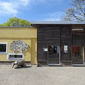 Giant tortoise indoor building