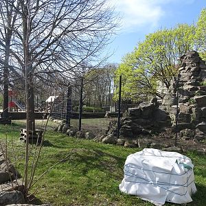Giant tortoise enclosure with ibex enclosure in the back