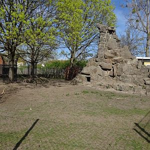 Alpine ibex enclosure