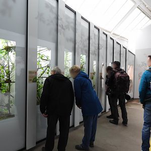 Artenschutz house general overview