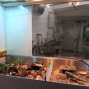 Turtle exhibits at the the Artenschutz house