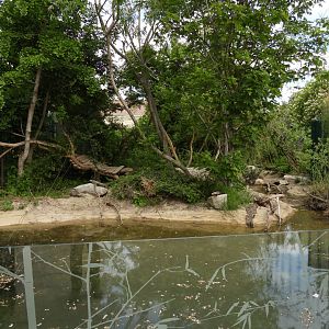 Giant panda enclosure (view from the pavilion side)