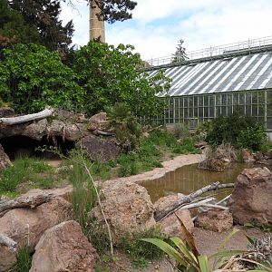 Aldabra giant tortoise outdoor exhibit at the desert house