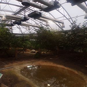 Galapagos giant tortoise enclosure 11.2.25