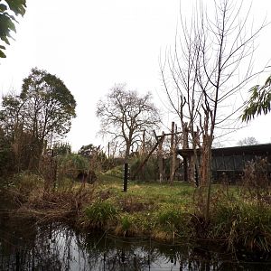 Gorilla enclosure 11.2.25