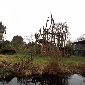 Gorilla enclosure 11.2.25