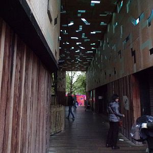 View inside Gorilla Kingdom building 11.2.25