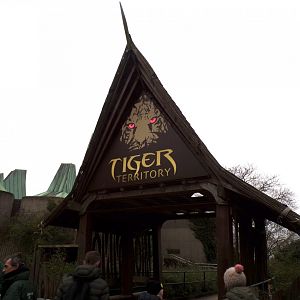 Entrance to Tiger Territory 11.2.25