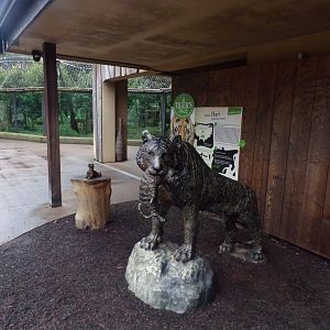 Tiger statue 11.2.25