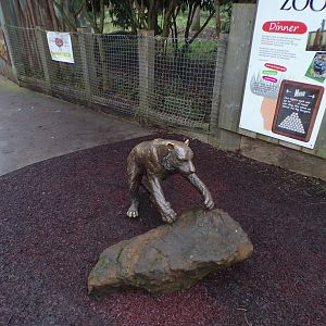 Tiger statue 11.2.25