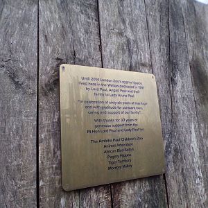 Sign about pygmy hippo 11.2.25