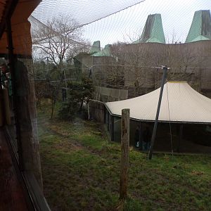 View of tiger enclosure and the Casson 11.2.25
