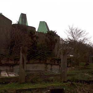 Babirusa enclosure 11.2.25