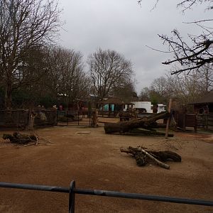 Alpaca enclosure 11.2.25
