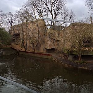 Asiatic lion enclosure 11.2.25