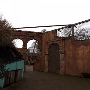 View of theming in Land of the Lions 11.2.25
