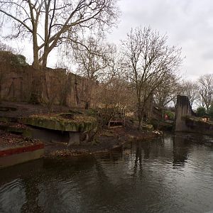 Asiatic lion enclosure 11.2.25