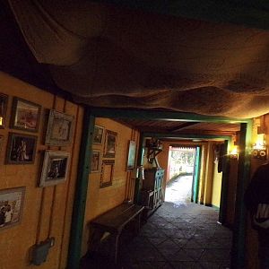 Themed lion viewing area 11.2.25