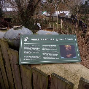 Lion well rescue signage 11.2.25