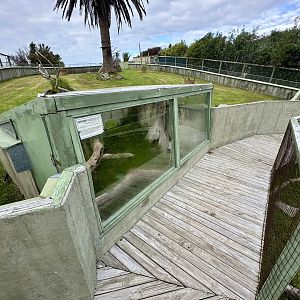 Spur-thighed Tortoise House